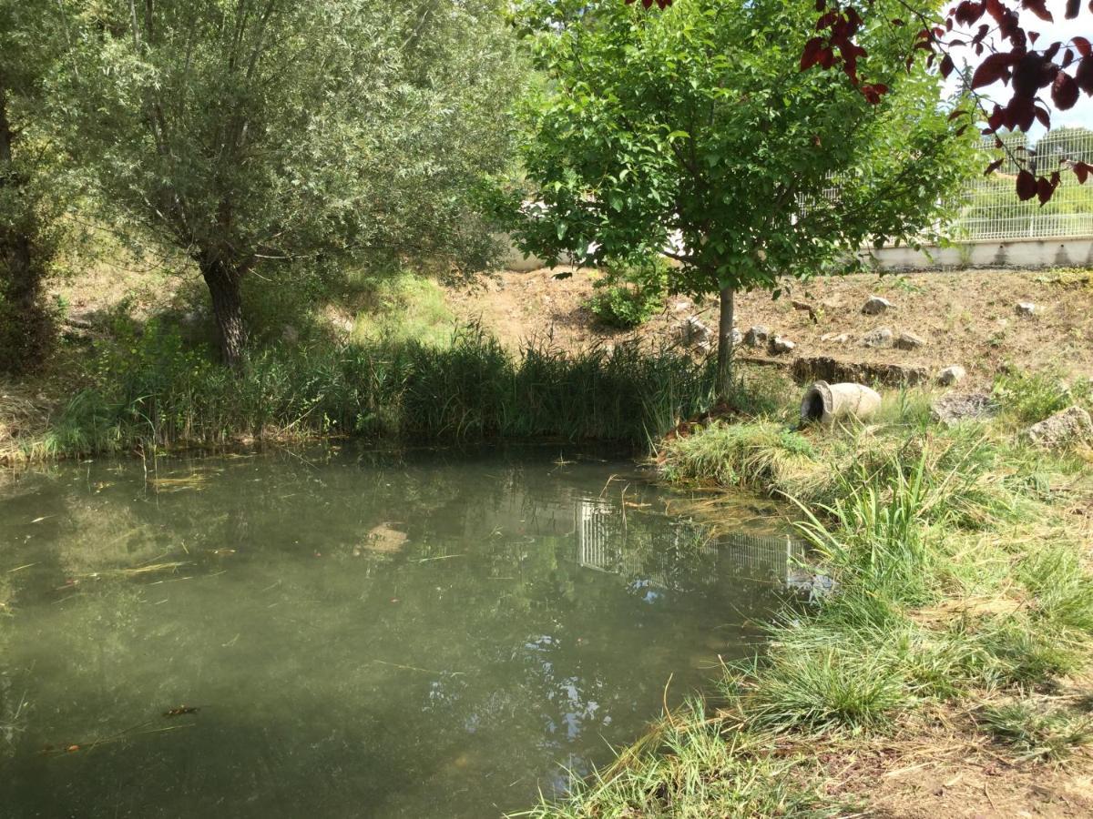 Mazet Lavande l'espaî route d'allemagne en provence Saint-Martin-de-Brômes Extérieur photo