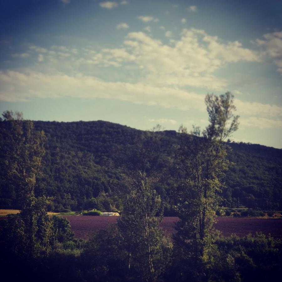 Mazet Lavande l'espaî route d'allemagne en provence Saint-Martin-de-Brômes Extérieur photo